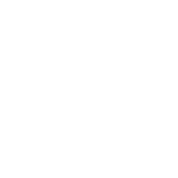 Video Consultation